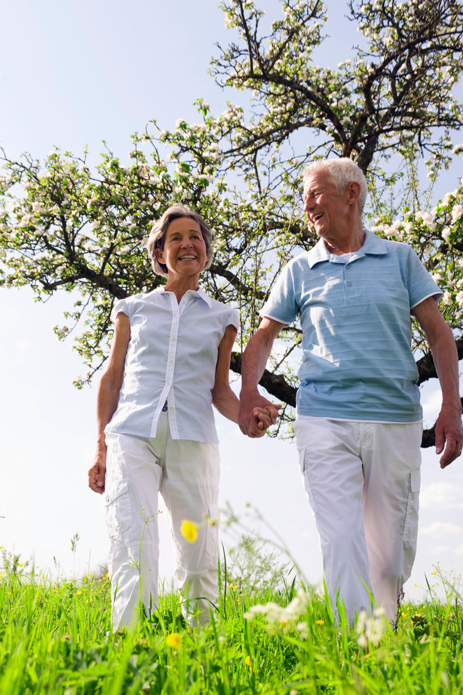 Senior couple holding hands and walking through a field of flowers on a beautiful spring day in the park