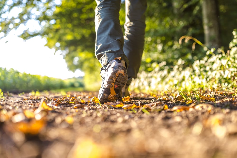 Closeup of male legs hiking in nature