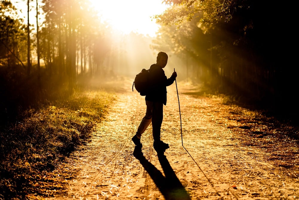 Man hiking in nature in sunset